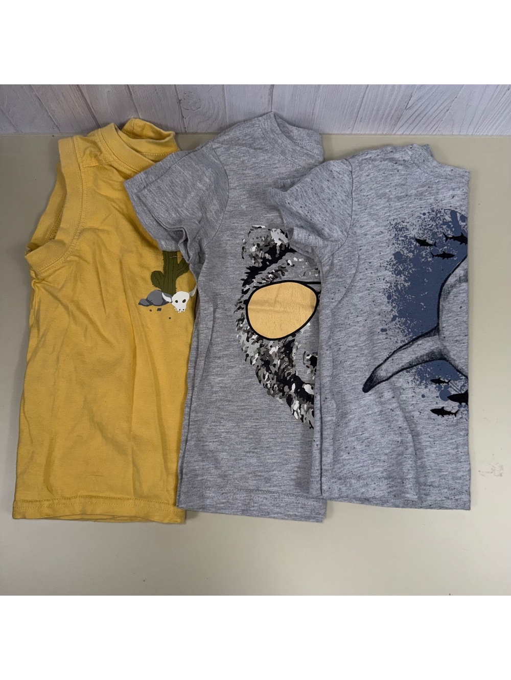 3pc Boys 2T Shirt Lot Gymboree Garanimals Well Worn